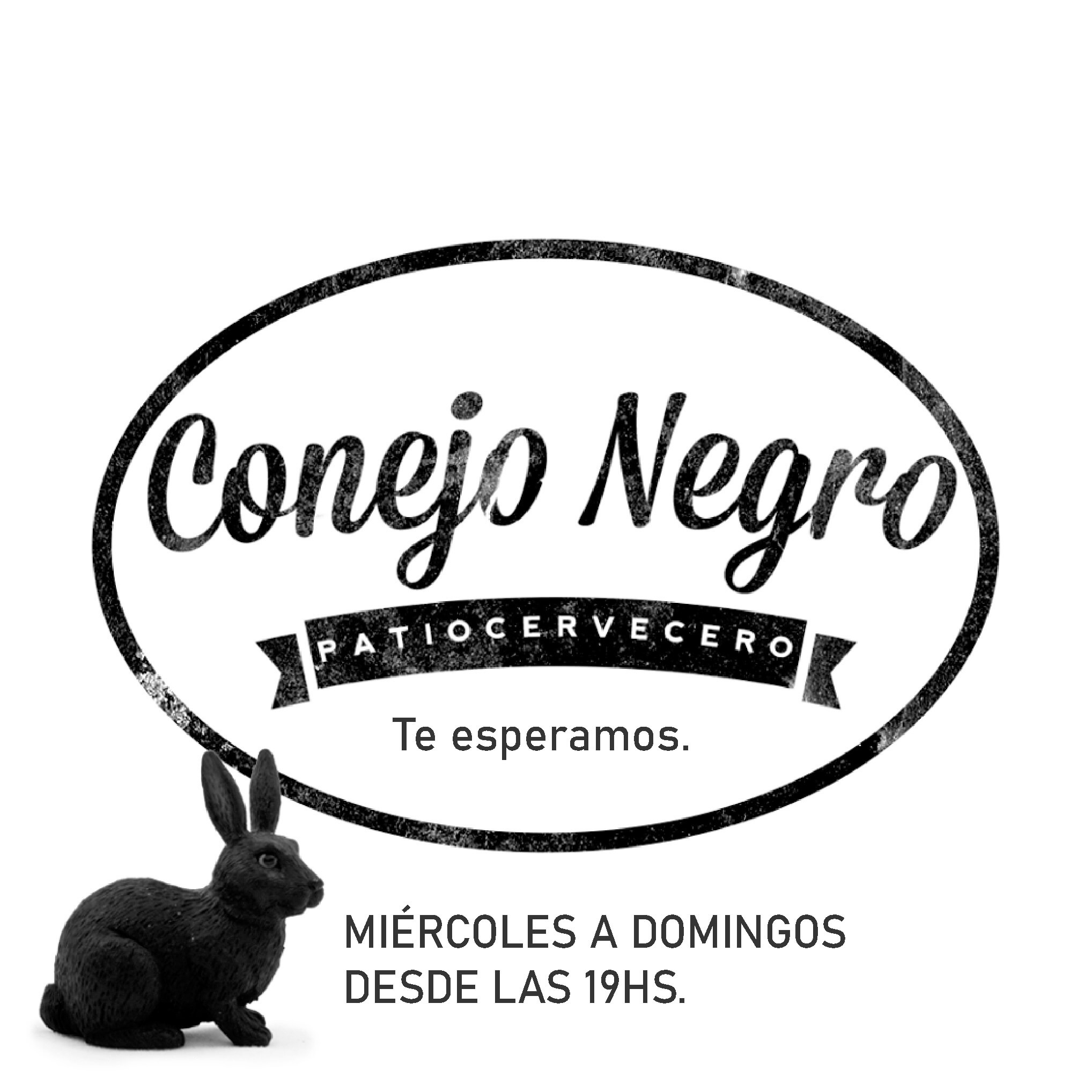 conejo negro 
